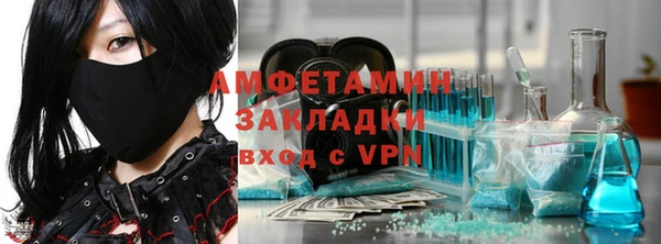 прущие грибы Гусиноозёрск