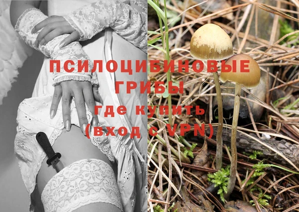 ПСИЛОЦИБИНОВЫЕ ГРИБЫ Михайловка