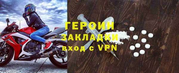 прущие грибы Гусиноозёрск