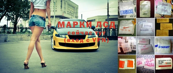 прущие грибы Гусиноозёрск