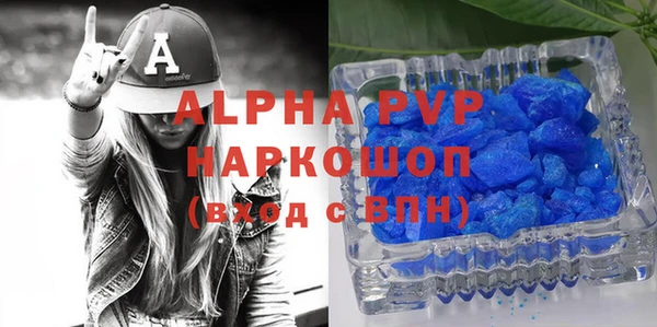 прущие грибы Гусиноозёрск