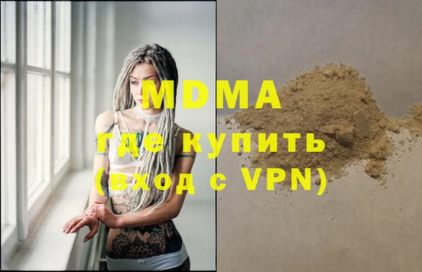 прущие грибы Гусиноозёрск