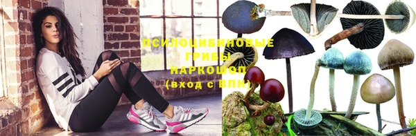 мдма Гусь-Хрустальный