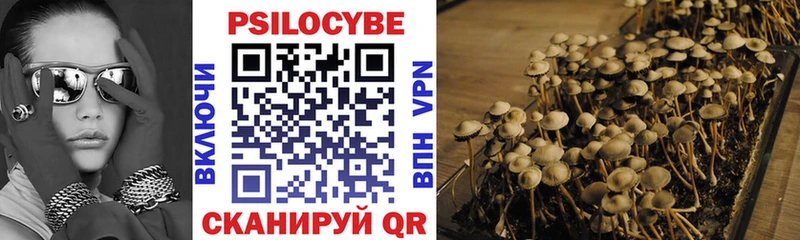 Псилоцибиновые грибы Psilocybe  Гусь-Хрустальный 