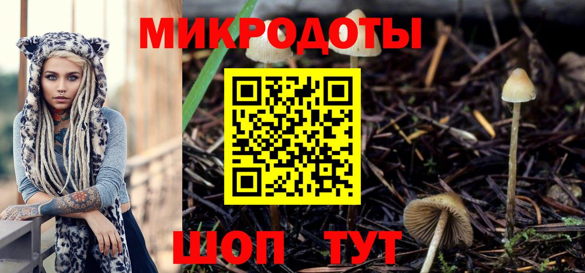 Галлюциногенные грибы мухоморы Гусь-Хрустальный