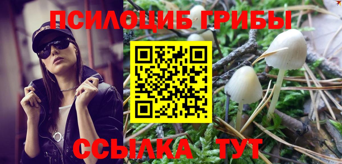 Галлюциногенные грибы Psilocybine cubensis Гусь-Хрустальный