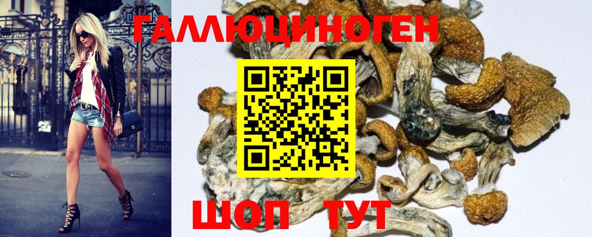 Псилоцибиновые грибы Psilocybe  купить наркотик  Вход с VPN  Гусь-Хрустальный  Галлюциногенные грибы прущие грибы 